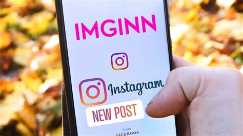 imginn instagram